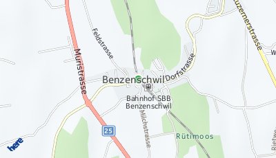 Standort Benzenschwil (AG)